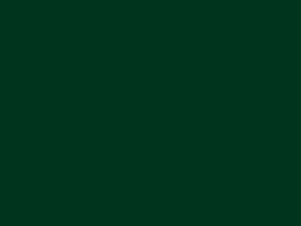 British racing green ( #004225 ) - plain background image