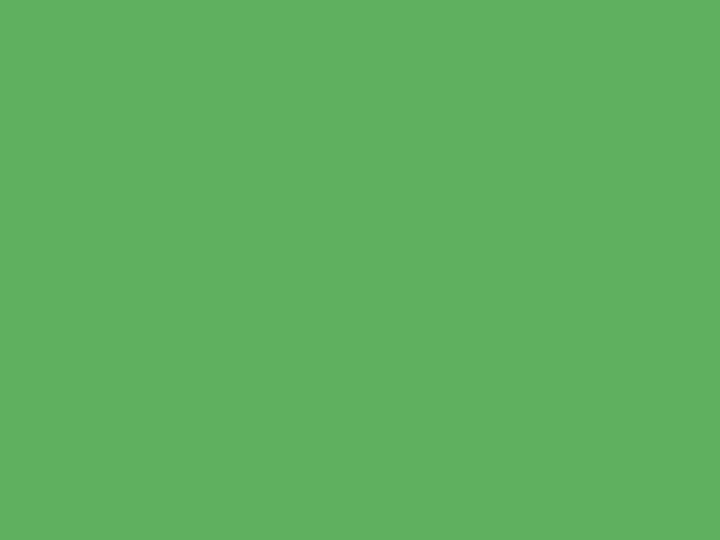 Pastel green ( #77dd77 ) - plain background image