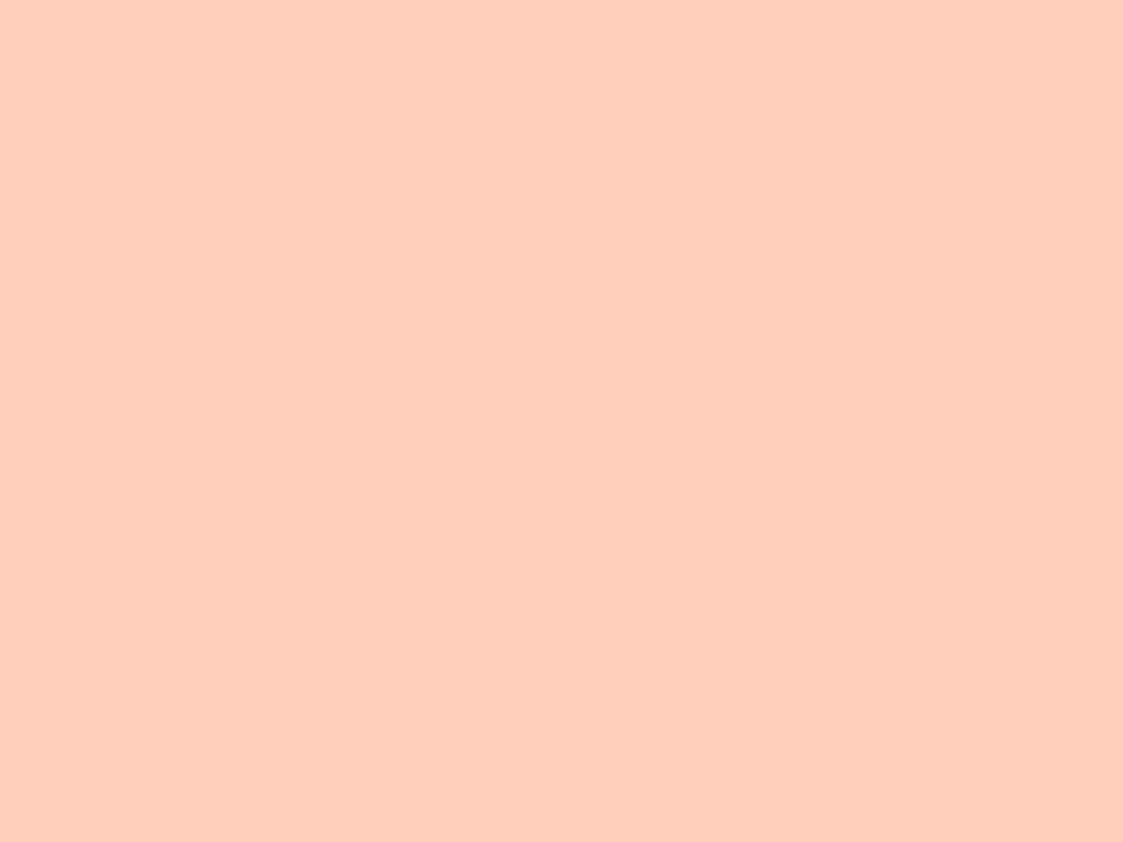 light salmon background