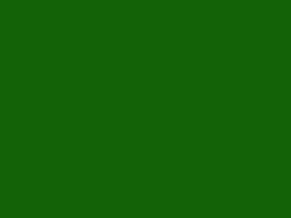 Royal green ( #136207 ) - plain background image