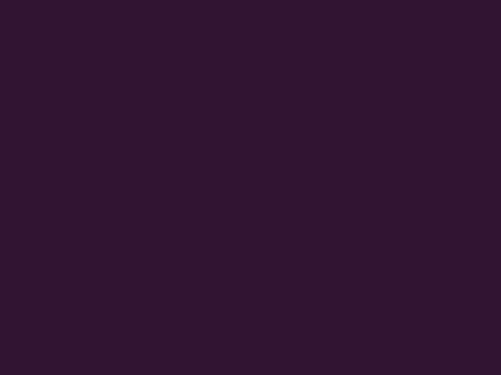 Eggplant Violet ( #311432 ) - plain background image