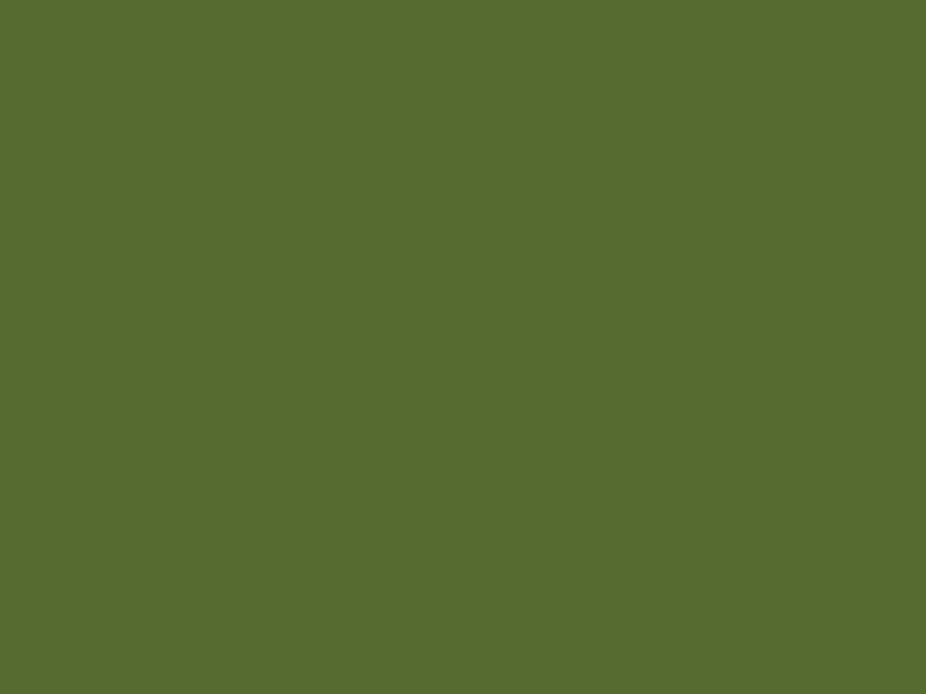 Dark olive green ( #556b2f ) - plain background image