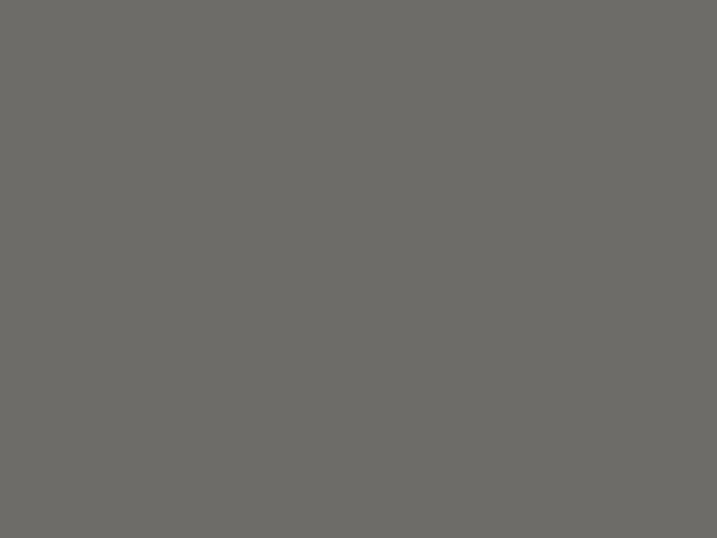 Malay Grey