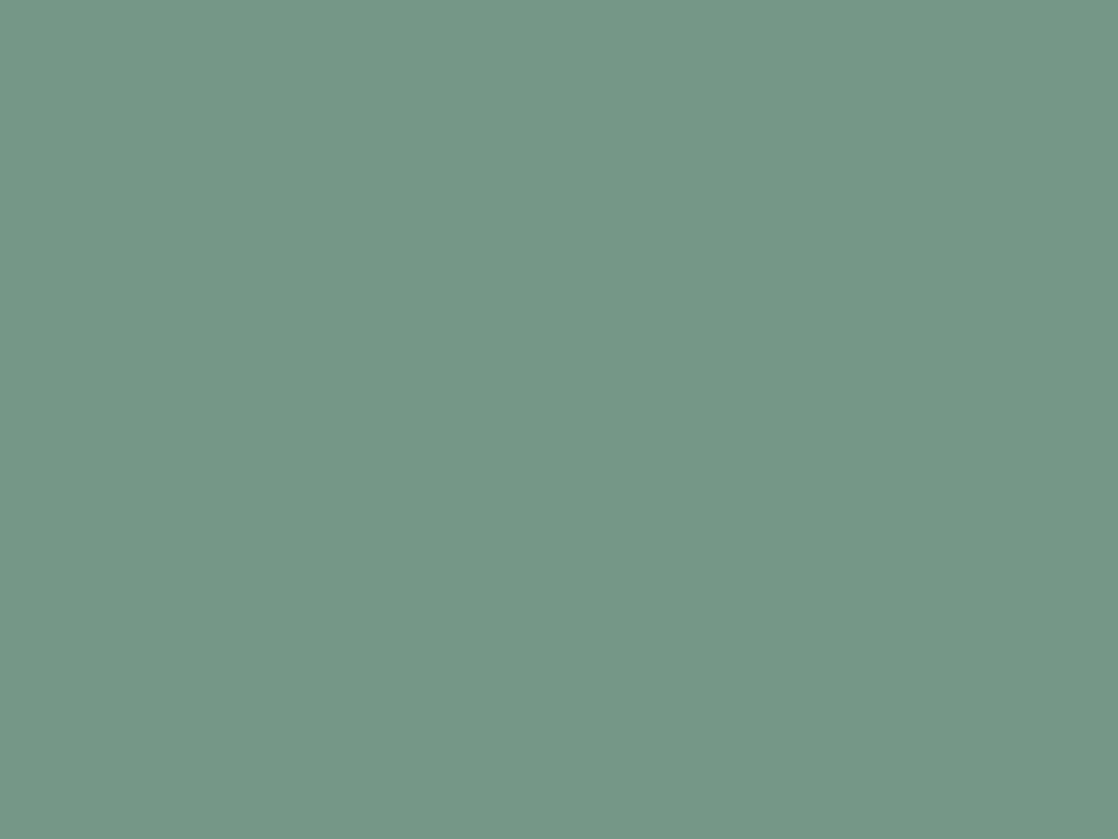 Hình nền màu xanh lá cây đơn sắc Silent Sage là một tác phẩm nghệ thuật tuyệt vời nhưng lại đơn giản. Với màu sắc xanh lá cây đặc trưng, đồng thời cũng mang tới sự thanh lịch và nhã nhặn, hình nền này chắc chắn sẽ làm hài lòng người dùng đam mê sự đơn giản và tinh tế.