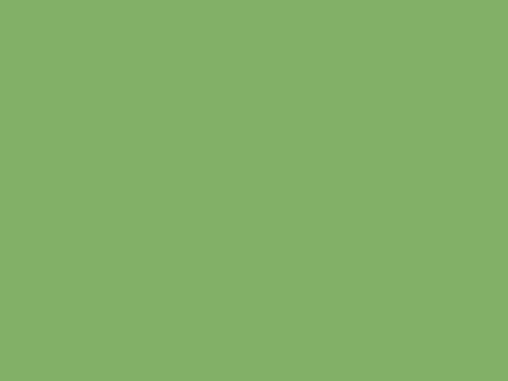 Garden Cress