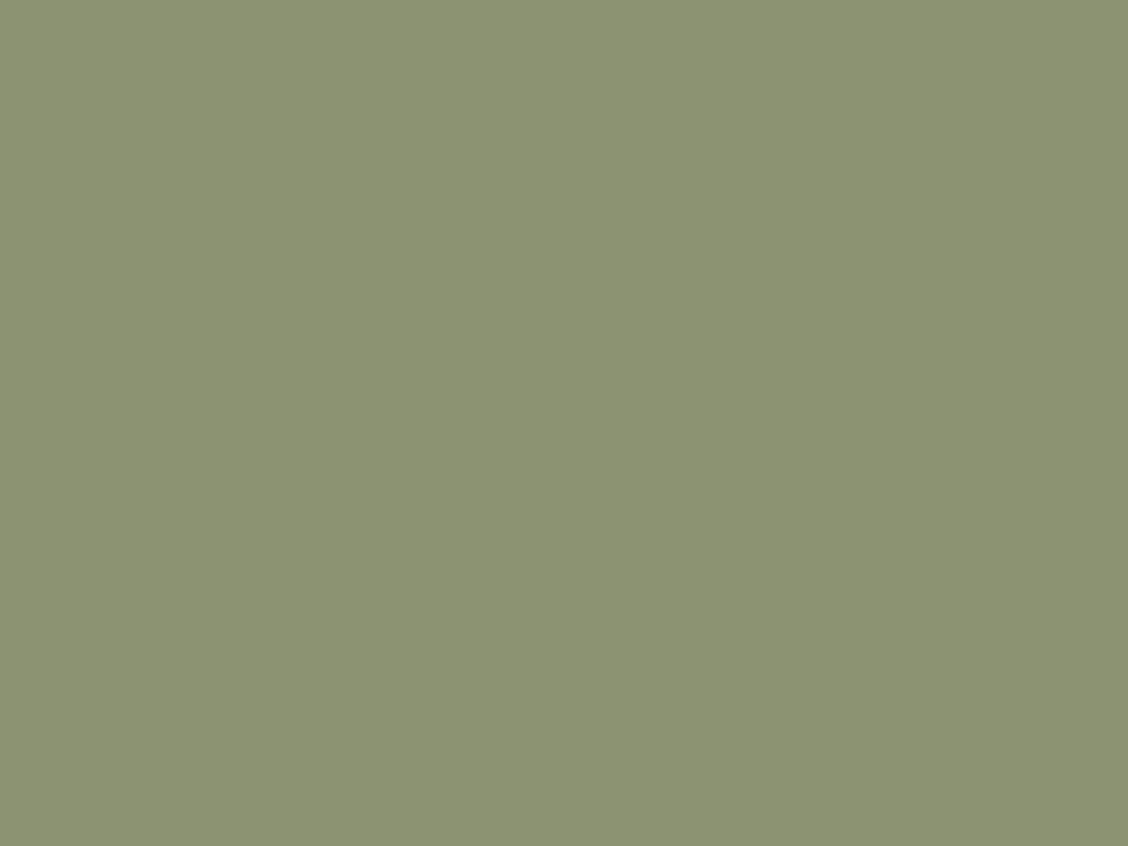 Green Spruce