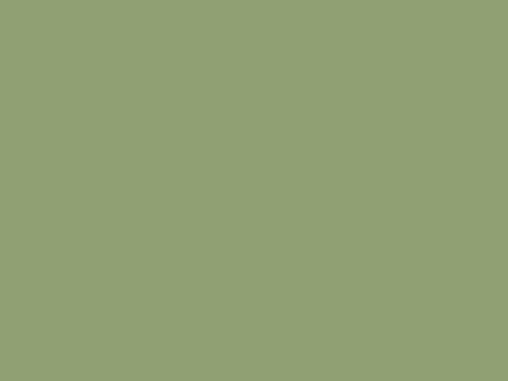 Lady Fern