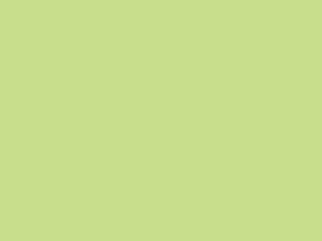 2047-10 Forest Green - Paint Color