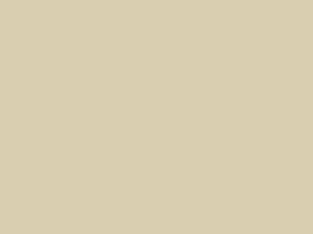 Cotton Canvas