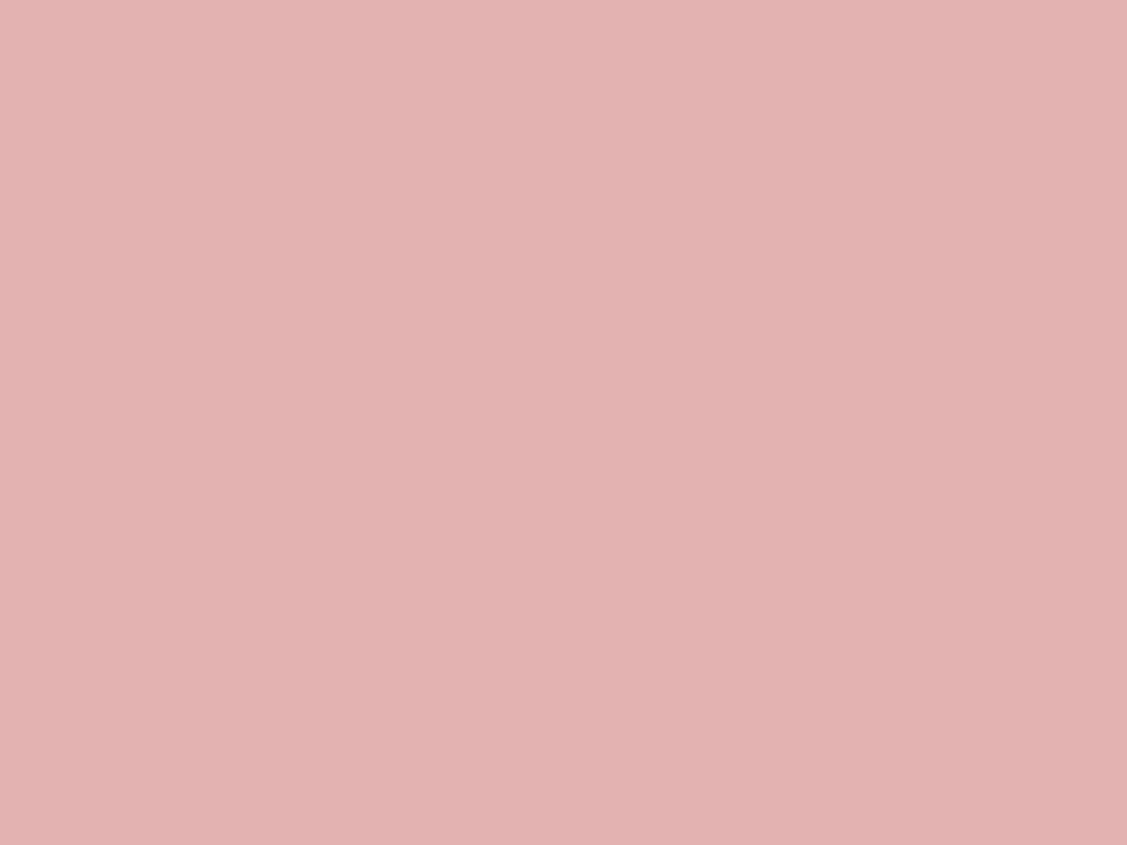 Pink Dust ( #e3b2b1 ) - plain background image