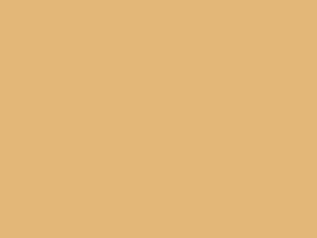 Sepia Yellow ( #e3b778 ) - plain background image