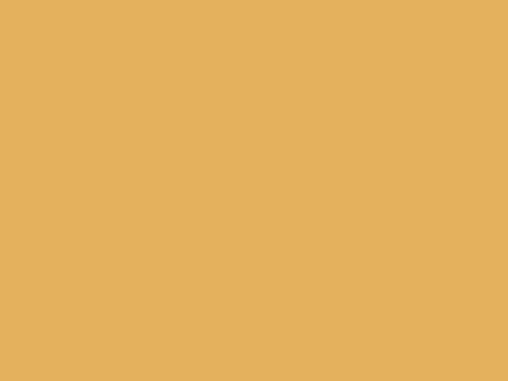 Silent Spruce