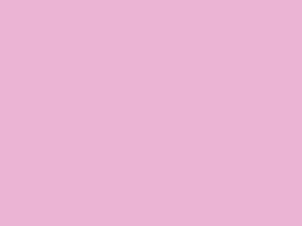 Pink Berret