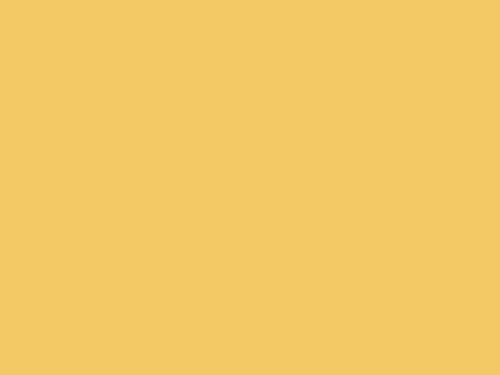 Corn Kernel