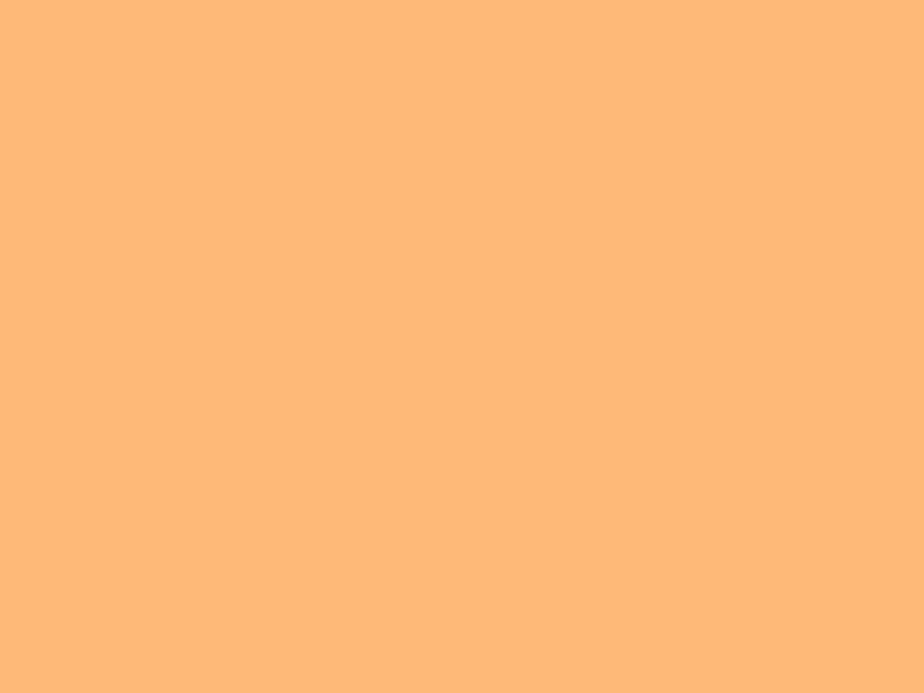 Featured image of post Orange Pastel Color Background Plain