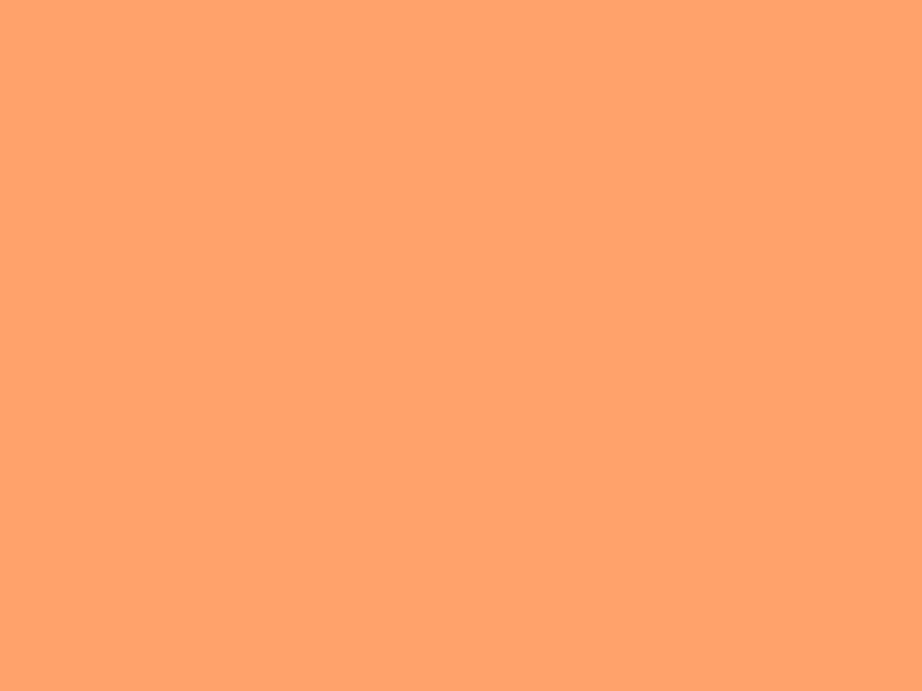 Stylish persimmon Sharegaki